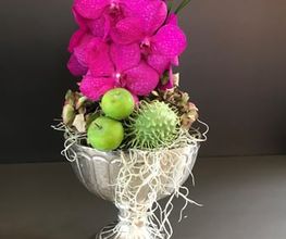Atmosphère Fleurs Bild 2