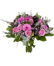 Sologne Flor image 2