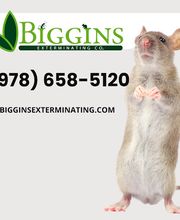 Biggins Exterminating image 11