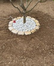 Rogoski Thibault image 8