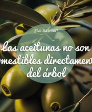 10_IMAGEN_Asesoramiento_nutricional.png