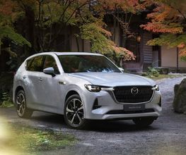 Rochat & Fils automobiles SA Bild 10