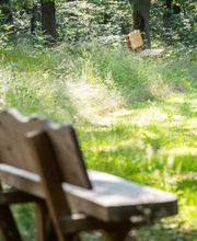 FriedWald Kirchheimbolanden Bild 5