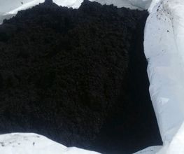 turbas-del-prado-1.jpg