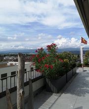 Gerber Gartenbau AG Bild 3