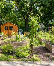 Fröbel-Kindergarten Traumzauberbaum in Berlin-Mitte, © 2026 Fröbel. Alle Rechte vorbehalten.