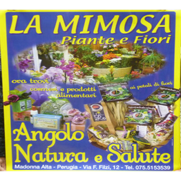 La Mimosa Piante e Fiori - Articoli da Regalo logo