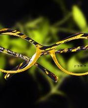 Opticien Issy-les-Moulineaux - Optic 2000 image 1