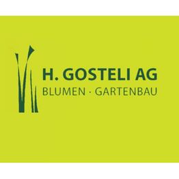 H. Gosteli AG
