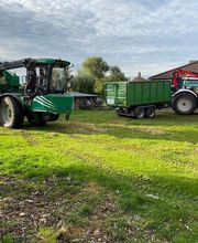 Baum & Forst Tiege Bild 3