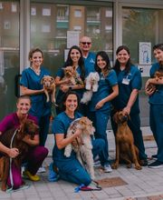 Gallery Professionale