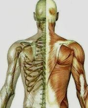 Integrative Body Therapy Center image 3