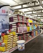 Animal City image 19