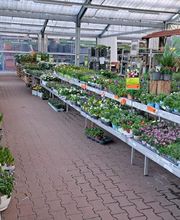 HORNBACH Gartencenter Görlitz Bild 5