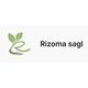 RIZOMA SAGL