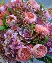 Marie Paolini image 15