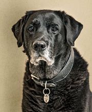 Matzack Karin Rechtsanwältin und auch Fachanwältin für Erbrechtrecht und Familienrecht Bild 3