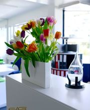 F24 Schweiz AG Bild 3