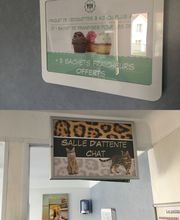 Duvivier Sophie image 3