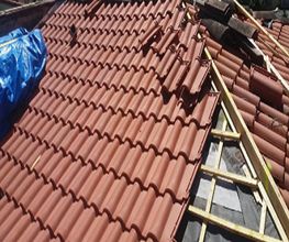 Lopez Charles image 6