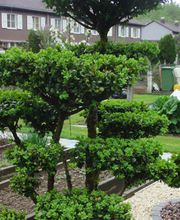 Bauert AG Parkpflege Gartenbau Bild 1