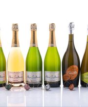 Champagne Alain Guillaume image 6