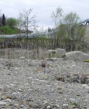 Gravière de la Claie-aux-Moines SA Bild 8