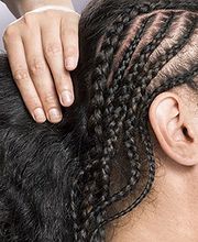 Cineus Fréd image 1