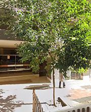 PVF ASESORÍA imagen 1