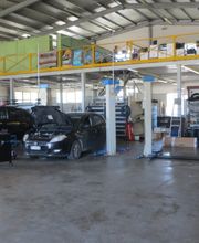 Gallery Cliente