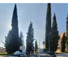 Wenea imagen 2