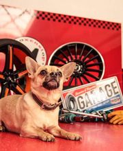 MBBoxenstop AUTOFIT Leipzig Bild 14