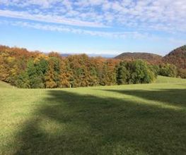 Ferme-Restaurant Pierreberg Bild 10