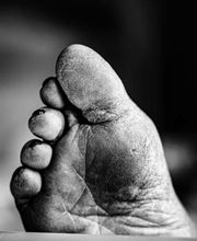 Karine Leroux image 19