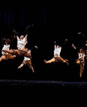 Professional Dance Academy Bild 1