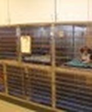 Parrett Veterinary Clinic image 14