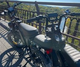 LM FatBikes image 5