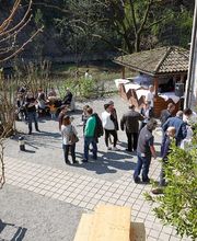 CORTE DEL VINO TICINO Bild 13