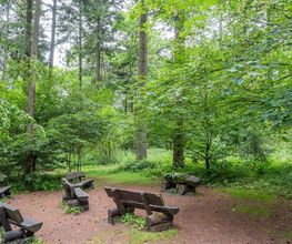 FriedWald Weilrod Bild 8