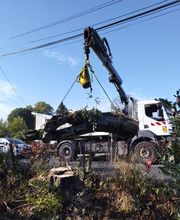 Beaudout Raphael image 5