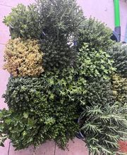 Lenhardts-Gartenpflege Bild 4