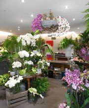 Savina Fleurs image 10