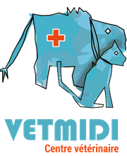 VETMIDI Etoy - Centre vétérinaire Bild 8