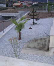 José Neto Sàrl Bild 9