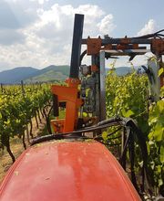 Colon Pierre SCEA image 12