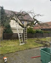 Gartenservice Mark Miess Bild 57