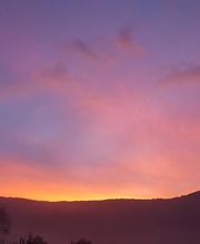 Espace Vert en Cévenne SARL image 5