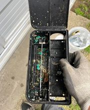 Gothon Dératisation Désinsectisation Désinfection image 1