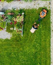 Graf Gärten GmbH Bild 3