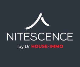Nitescence image 6
